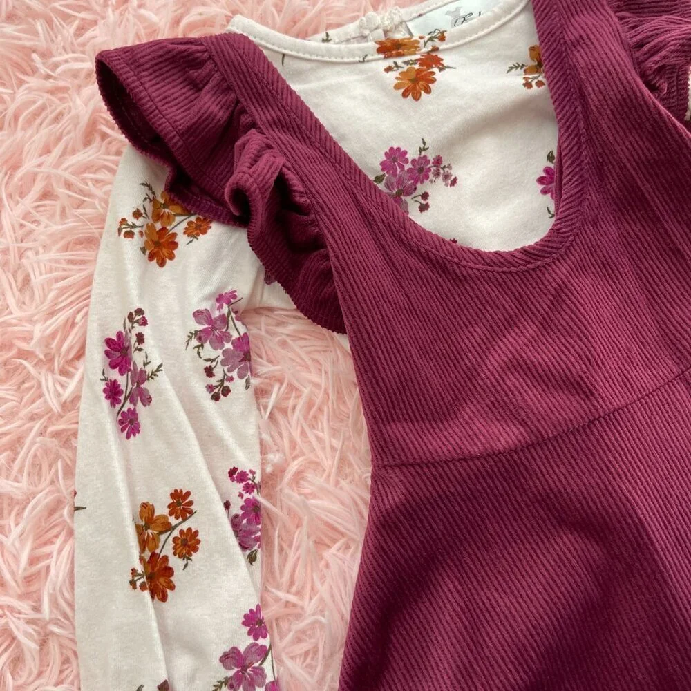 Toddler Girl 2piece set dress and long sleeve shirt